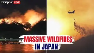 Japan Wildfires LIVE: Thousands Forced to Evacuate as wildfires Break Out in Western Japan | N18G