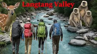 Spotted Deer And Exotic Monkeys On The Langtang | Episode 2 | English Subtitles