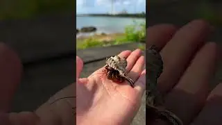 What It&rsquo;s Like Living in Okinawa, Japan 🌴🍱