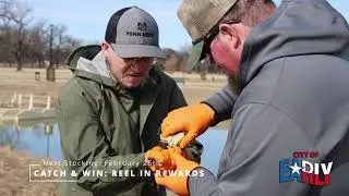 Trout Stocking