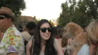 Roy Hay, The Culture Club, and Boys Don't Cry Perform at The Hills Treatment Center