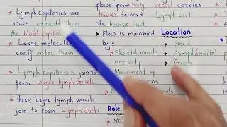 Human Lymphatic System Explained | FSc Part 1 Biology | PTB New Syllabus