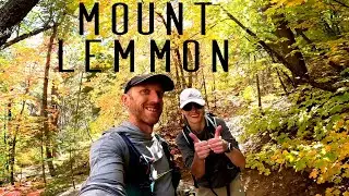 Best Campsite and Fall Colors on Mount Lemmon?