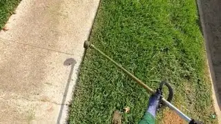 Lawn Care ASMR: Edging & Trimming in Real Time (No Music/No Talking) Client's Neighbors Dogs Scary!