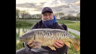 Swim Stim Sweet F1 paste , Waggler Big Carp White Acres evening last 2 hours