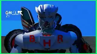 Quantumus Prime Walk Cycle
