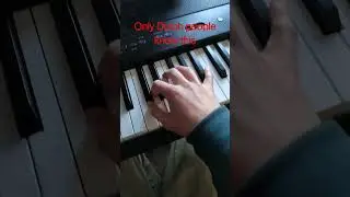 only dutch people know this theme #4 #piano #dutch #shorts