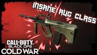 BEST AUG CLASS in COLD WAR! NASTY AUG Gameplay!