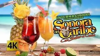 SONORA DEL CARIBE SALSA FELICIDAD