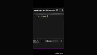 Функция input(). Что она делает и куда сохранять текст. Ссылка на полное видео в описании