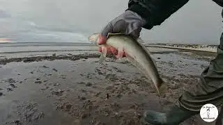 Pesca en la Nieve 
