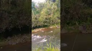A walk to the river #colombia #travel #colombiaparadise #nature #livingabroad #expatlife