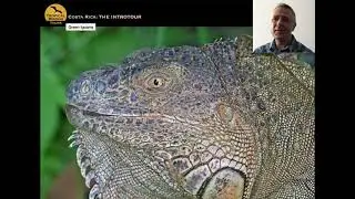 Costa Rica Virtual Tour Sam Woods