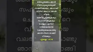 ഞാൻ നിന്നെ താങ്ങി നിർത്തും