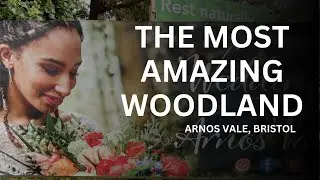 A wander around Arnos Vale Cemetery