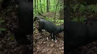 Total Archery Challenge - Please don&rsquo;t hit the tree 🙏🏼 #archery #shorts #fail