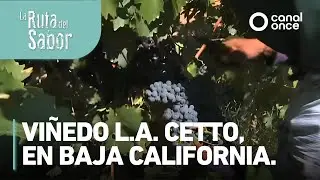 La ruta del sabor - L.A. Cetto, B. C.