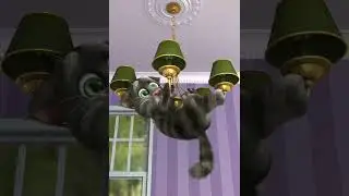 Talking Tom Cat 2011 EP10