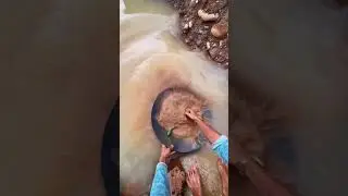⚡ From River to Riches: Gold Panning Challenge!