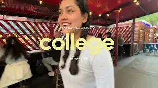 when you go to college in new york, school is the least important thing