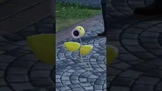 My first shiny pokemon in Legends Z-A shiny Bellsprout #pokemonlegendsza
