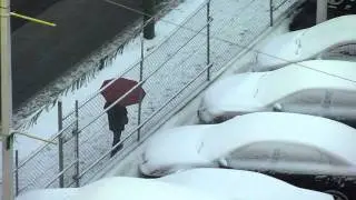 Another Vancouver Snow Umbrella (25 November 2010)