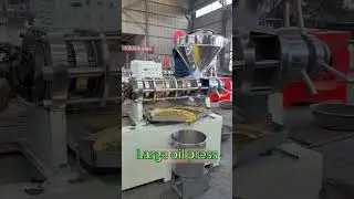 Screw oil press machine on-site test#sunflower #sesame #soybean