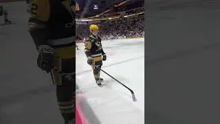My First Ever AHL Game Was An Amazing Watch! #shorts
