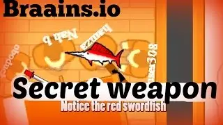 Secret weapon in braains.io | Braains.io