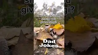 Best Dad Jokes #dadjokes #joke #shortjokes #funny #shorts #pun #happy #bestjokes #pun #baddadjokes