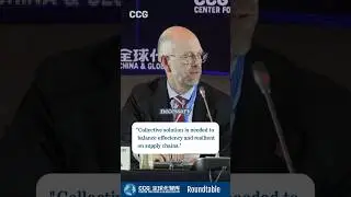 Norwegian Ambassador to China: Collective solution to Balance Supply Chains