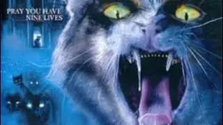 Unboxing a Gift from Tanner, Rare Mediabook Blu Ray, Code Red DVD Oop, Severin, Vinyl Soundtrack