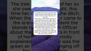 The Tree #blonde #driving #funny #accident #comedy #jokes #humor #airfreshener #mirror #stupid