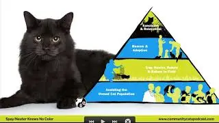Spay/Neuter Knows No Color | Stacy LeBaron | 2021 Diversity Day