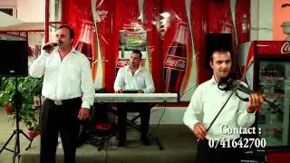 DORUTU BERDEA  COLAJ 2   LA TERASA LOTUS DIN BAILE FELIX