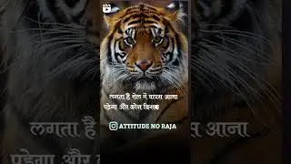 arjunTiger(1)