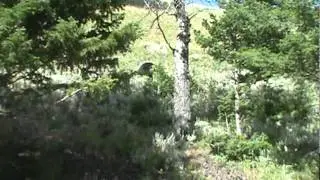 M2U00537