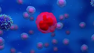 4 What is Chemotherapy - How Does it Treat Cancer?
