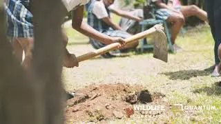 The Mauritian Wildlife Foundation - Species Champions Programme Bois Mapou