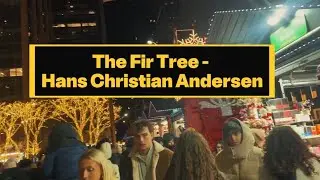 The Fir Tree (Hans Christian Andersen) Storytelling & Key takeaways 