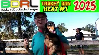 Backyard Dog Racing League: Live Replay 11/22/25