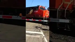 CN engine sandwiched between 4 Norfolk, Southern engines.