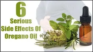 6 Must Know Serious Side Effects Of Oregano Oil