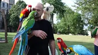 Lucky Birds Unlimited