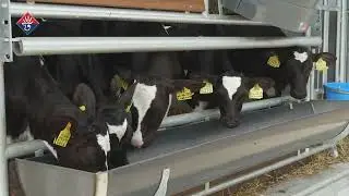 Alpuro Breeding Flexistal XL