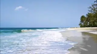 FREE TRIP TO WELLNESS ISLAND , MEDITATION MUSIC