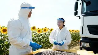 Inside the Sunflower Oil Factory | From Seeds to Bottles | The Process Room