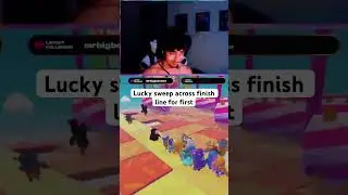 Lucky chance #shorts #fallguys #lucky #first #epic