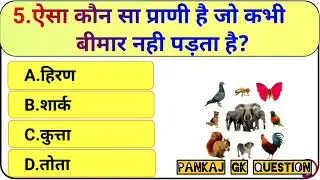 GK Question Answer | SSC, Railway | Pankaj Sir | carrent affairs | Rajasthan GK 