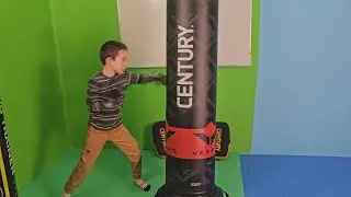 Century Versys Fight Simulator Free Standing Bags Review